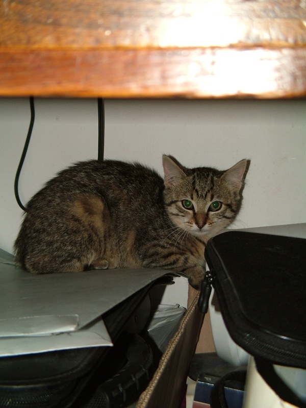 Image